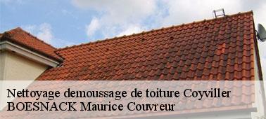 Faites nettoyer votre toiture 54210 à BOESNACK Maurice Couvreur