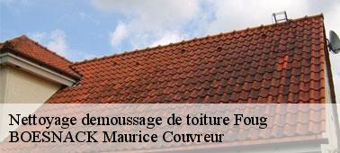 Tarif nettoyage et démoussage de toiture chez BOESNACK Maurice Couvreur