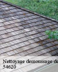 Devis nettoyage et démoussage toiture 54620 gratuit