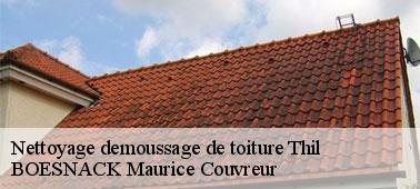Bien nettoyer votre toit avec une entreprise de nettoyage et démoussage de toiture à Thil