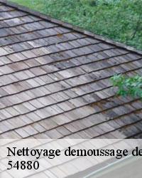 Faites nettoyer votre toiture 54880 à BOESNACK Maurice Couvreur