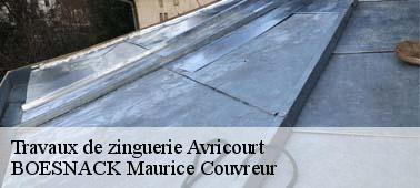 BOESNACK Maurice Couvreur pour s’occuper de tous vos travaux de zinguerie à Avricourt