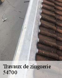 Osez apporter du changement à votre zinguerie de toiture à Bouxieres Sous Froidmont 
