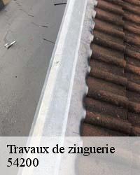 Osez apporter du changement à votre zinguerie de toiture à Chaudeney Sur Moselle 