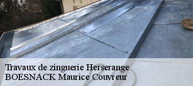 BOESNACK Maurice Couvreur pour s’occuper de tous vos travaux de zinguerie à Herserange