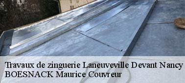 BOESNACK Maurice Couvreur pour s’occuper de tous vos travaux de zinguerie à Laneuveville Devant Nancy