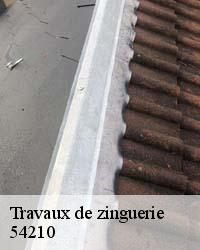 La réparation de zinguerie parfaite avec l’artisan zingueur à Lupcourt